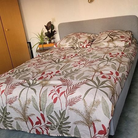 Charmante Villa Familiale A Rouen Bonsecours Eksteriør billede